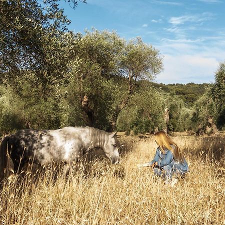 Casa Masseria Le Ville Peschici Eksteriør bilde